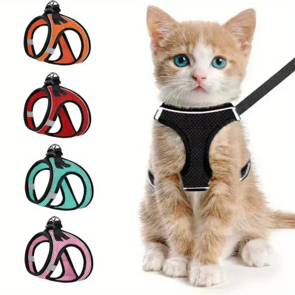 Mesh Dog Harness-The Set Pet