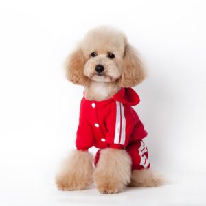 Pet Dog Clothes-The Set Pet