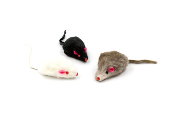 20 Furry Mice-The Set Pet