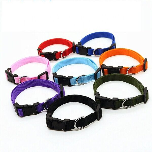 Dog Nylon Collar-The Set Pet