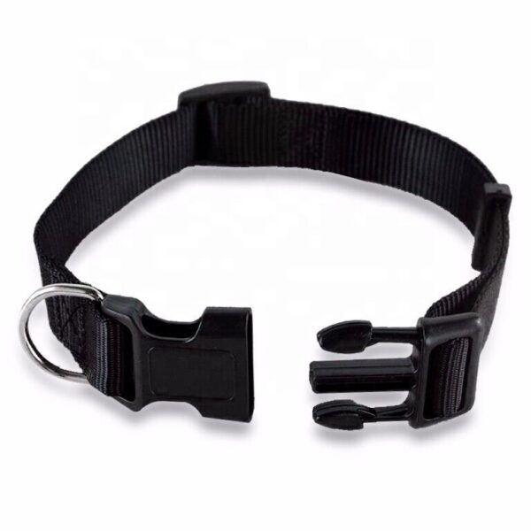 Dog Nylon Collar-The Set Pet