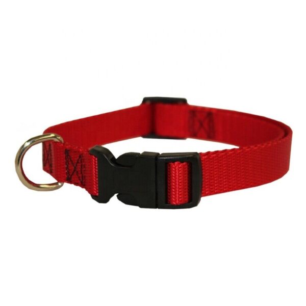 Dog Nylon Collar-The Set Pet