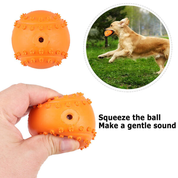 Durable Dog Ball Toys-The Set Pet