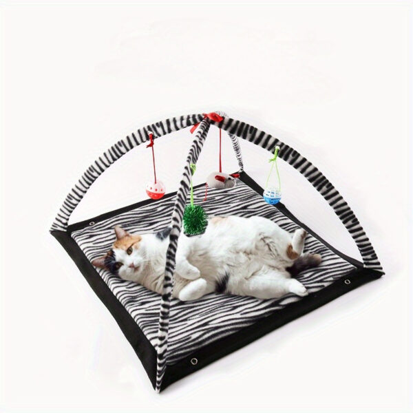 Zebra Print Cat tent-The Set Pet