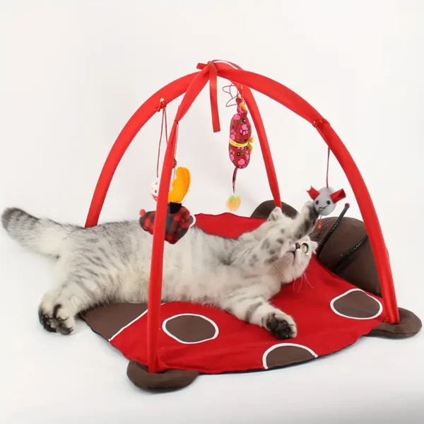 Zebra Print Cat tent-The Set Pet