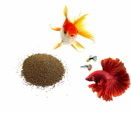 FISH FOOD-The Set Pet