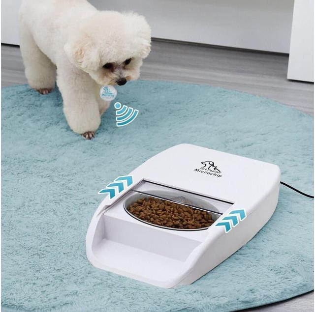 Multi Pet Feeder-The Set Pet