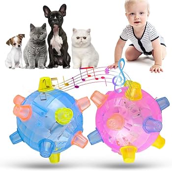 Ball Led Toy-The Set Pet