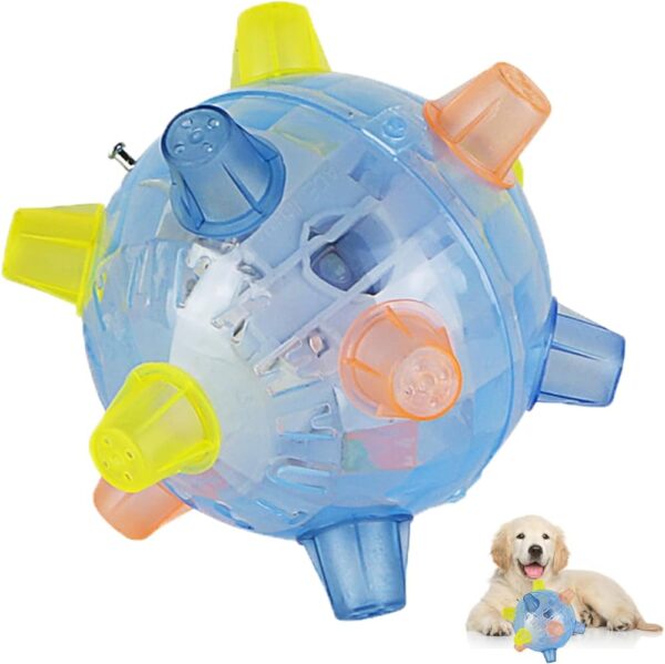 Ball Led Toy-The Set Pet