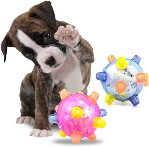 Ball Led Toy-The Set Pet