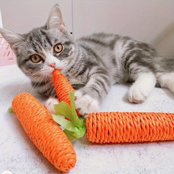 Carrot Plush Catnip Kicker Cat Toy-The Set Pet