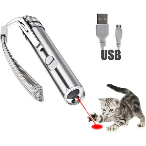 USB Laser Pointer Pen-The Set Pet