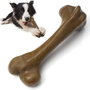 Dog Bone-The Set Pet