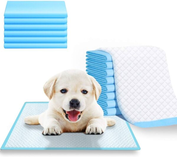 Pads for Dogs -The Set Pet