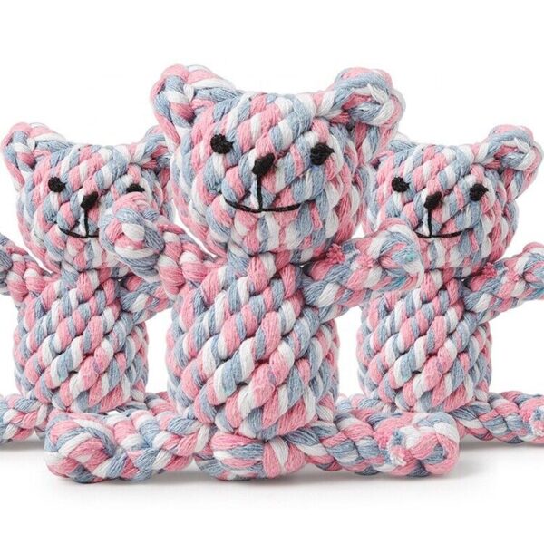 Dental Teething Bear-The Set Pet