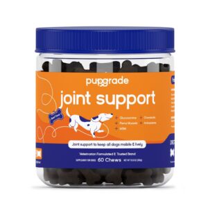 Joint Support Supplement-The Set Pet