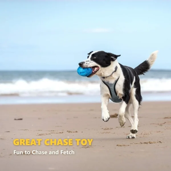 Dog Chew Toys- The Set Pet