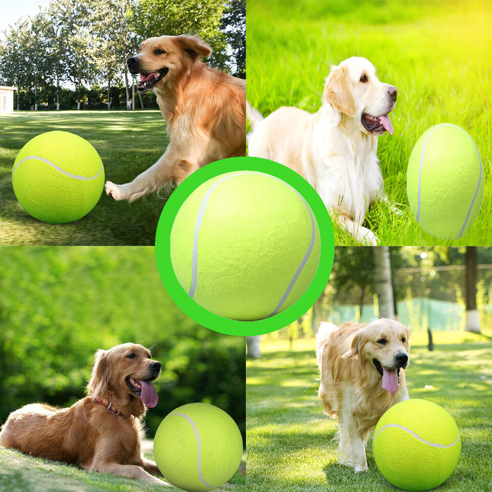 Dog Tennis Ball-The Set Pet