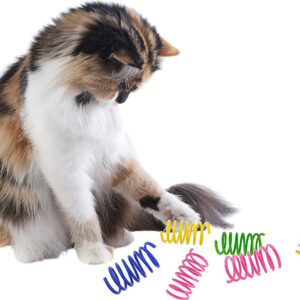 Cat Spring Toys-The Set Pet