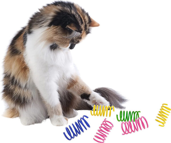 Cat Spring Toys-The Set Pet