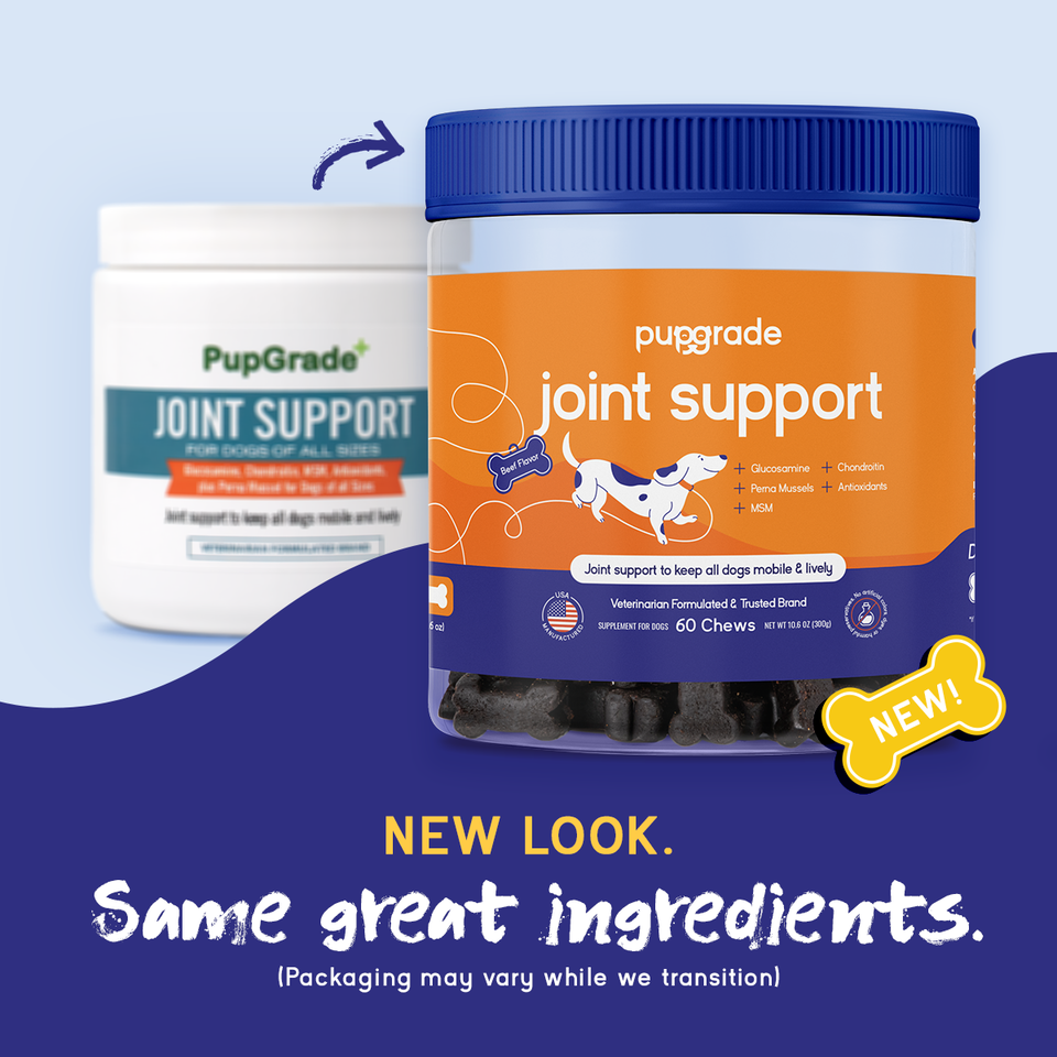 Joint Support Supplement-The Set Pet