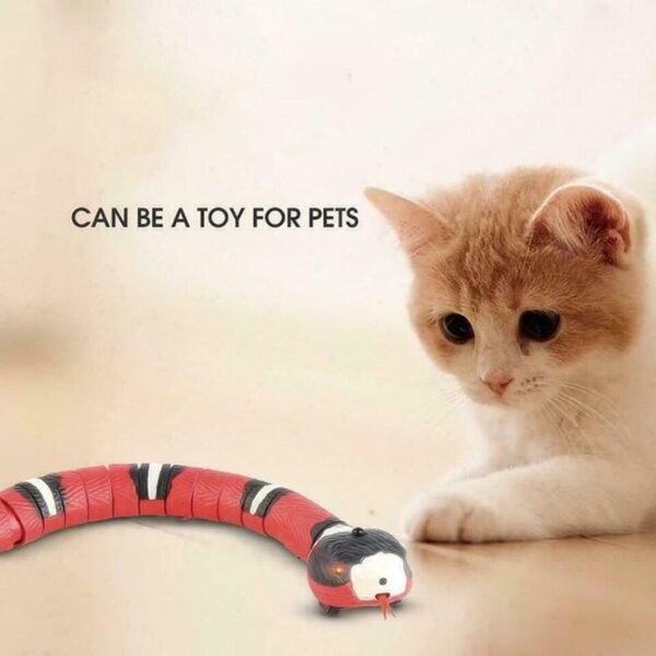 Snake Cat Toy-The Set Pet