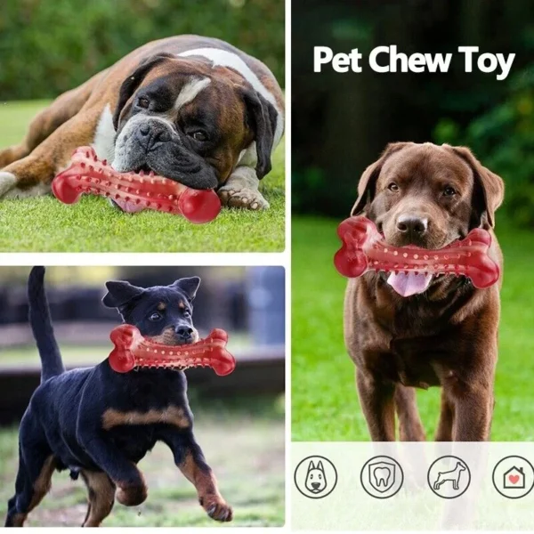 Dog Bones Chew- The Set Pet