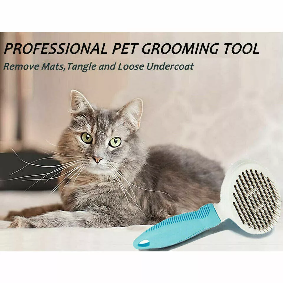 Cat Brush-The Set Pet