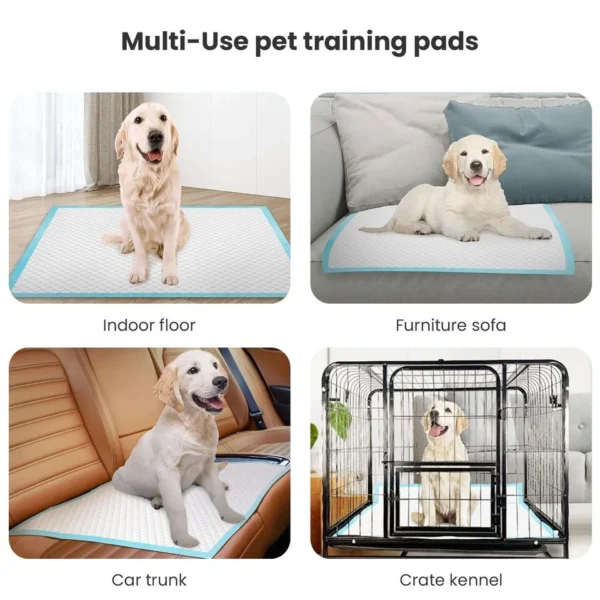 Pads for Dogs -The Set Pet