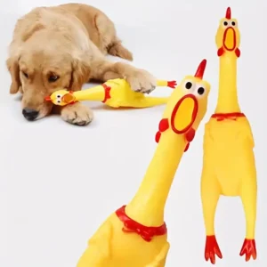 Rubber Chicken-The Set Pet