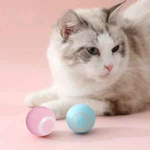 Cat Ball Toys-The Set Pet