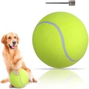 Dog Tennis Ball-The Set Pet