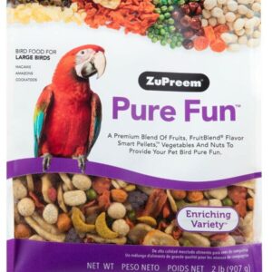 Pure Fun Bird-The Set Pet