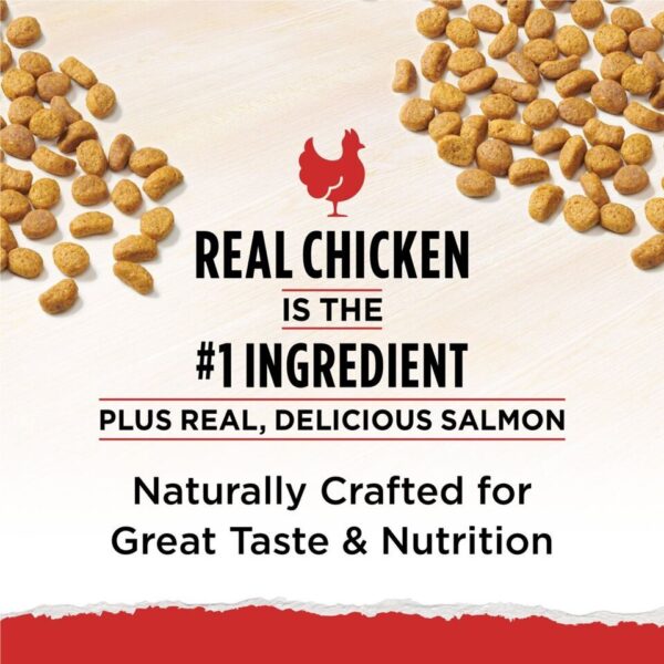 Cat Chow Naturals Chicken-The Set Pet