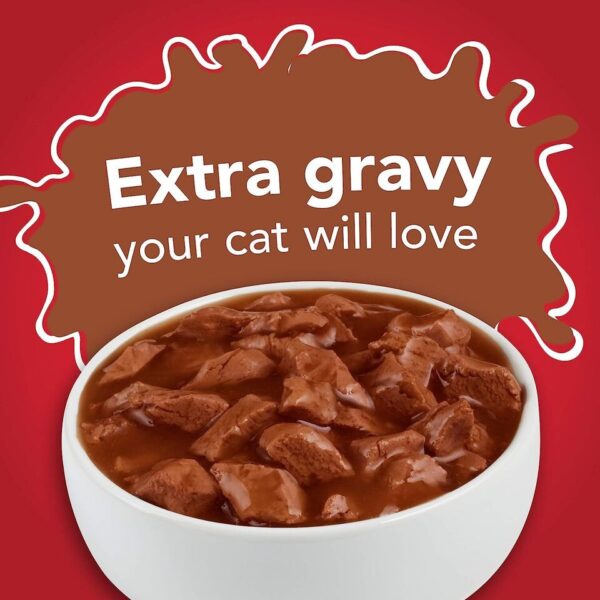 Beef Wet Cat Food-The Set Pet