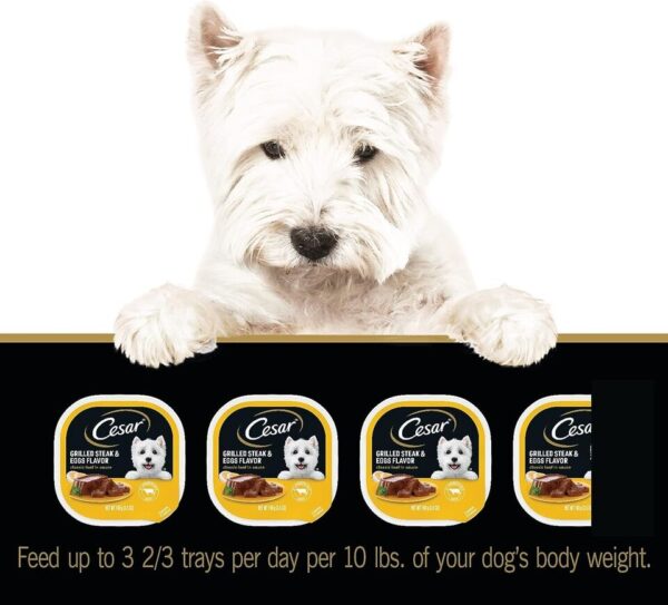 Soft Wet Dog Food-The Set Pet