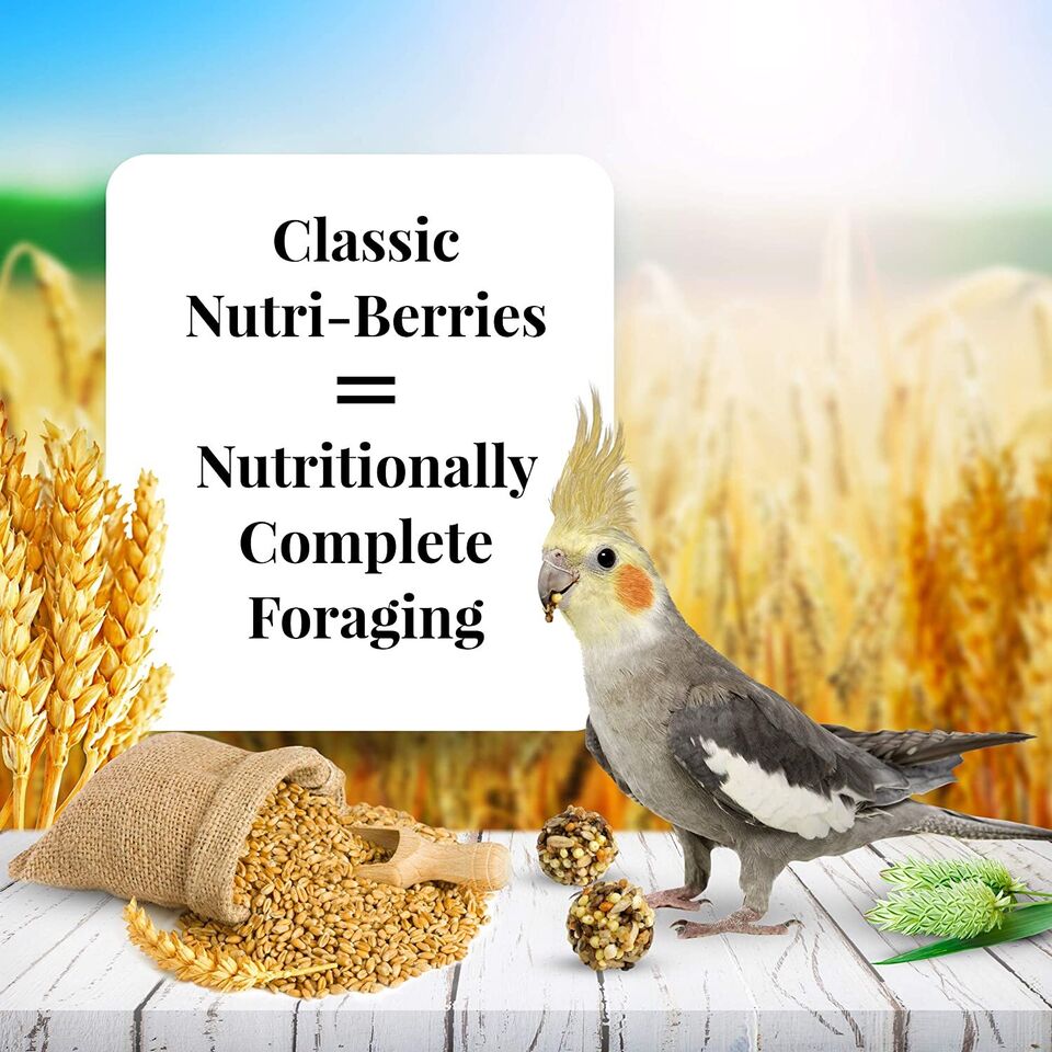 Nutri-Berries-The Set Pet